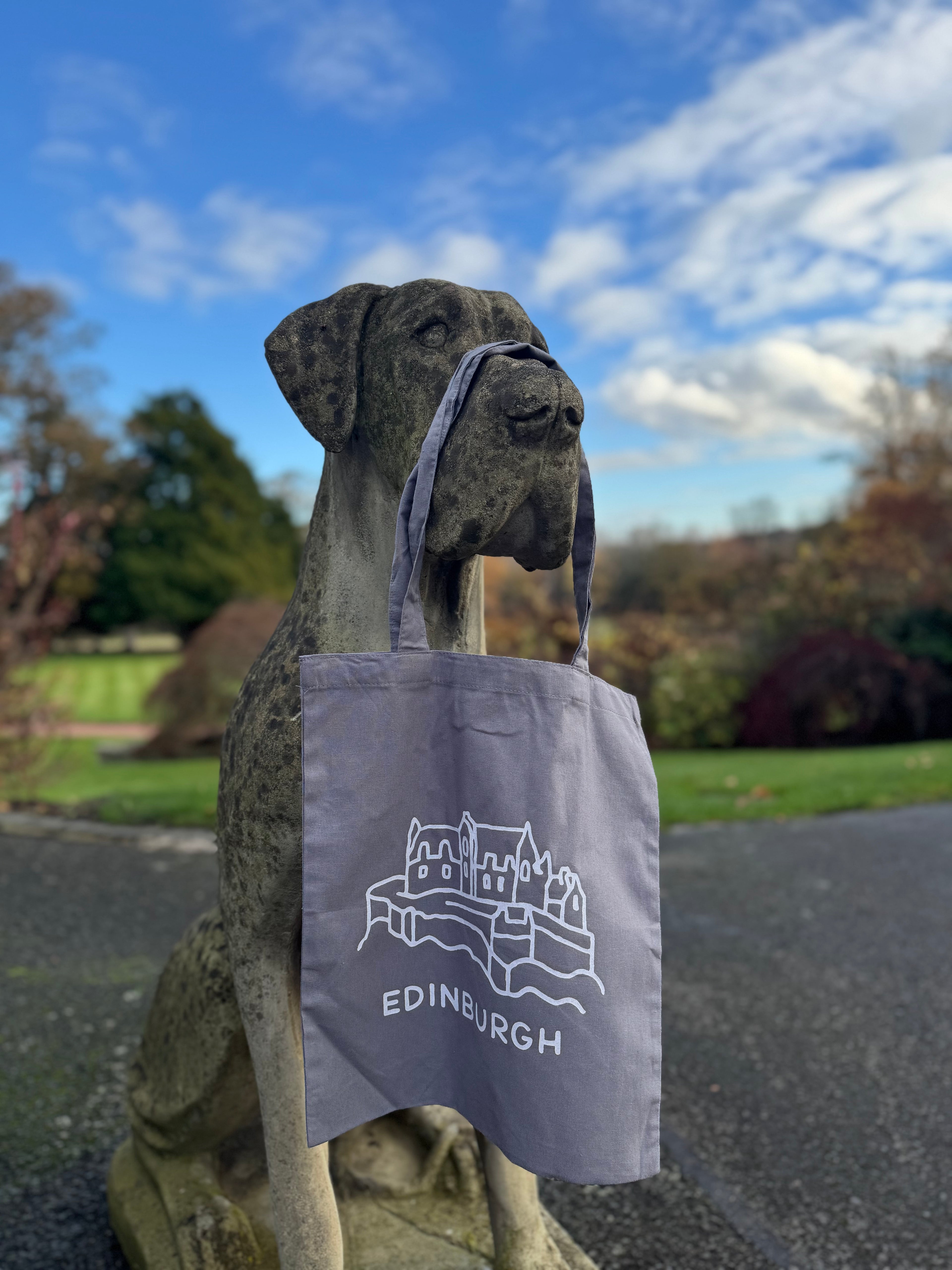 Edinburgh Castle Cotton Tote Bag- Stone Grey