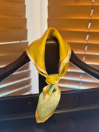 Edinburgh Castle 100% Silk Scarf